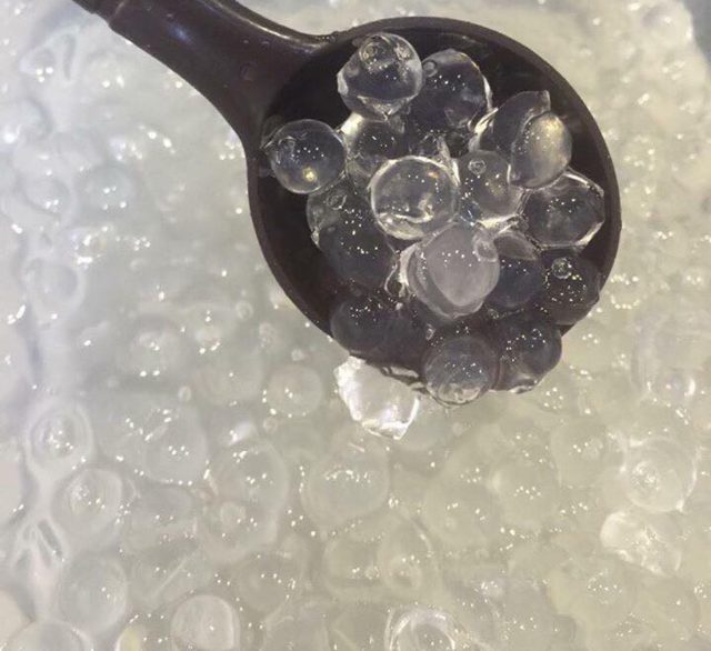 Trân châu trắng 3Q Sea Jelly